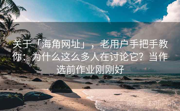 关于「海角网址」，老用户手把手教你：为什么这么多人在讨论它？当作选前作业刚刚好