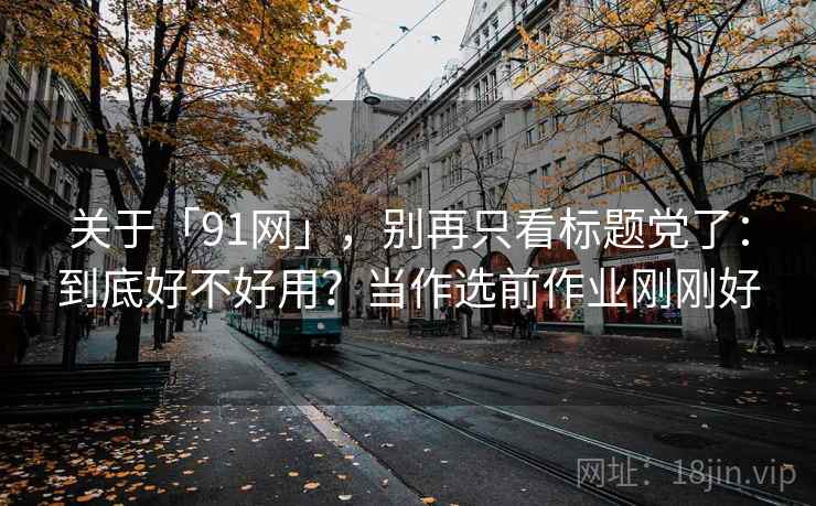 关于「91网」，别再只看标题党了：到底好不好用？当作选前作业刚刚好