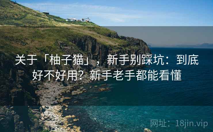 关于「柚子猫」,新手别踩坑:到底好不好用?新手老手都能看懂 关于「柚子猫」,新手别踩坑:到底好不好用?新手老手都能看懂