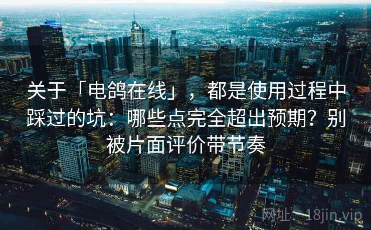 关于「电鸽在线」，都是使用过程中踩过的坑：哪些点完全超出预期？别被片面评价带节奏