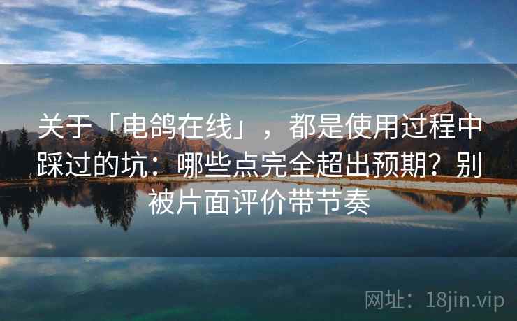关于「电鸽在线」，都是使用过程中踩过的坑：哪些点完全超出预期？别被片面评价带节奏